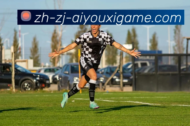 爱游戏品牌故事