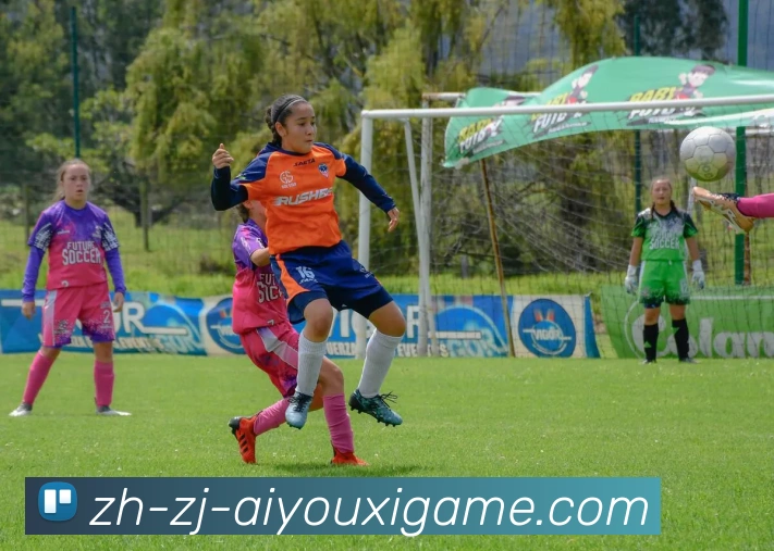 爱游戏服务体系